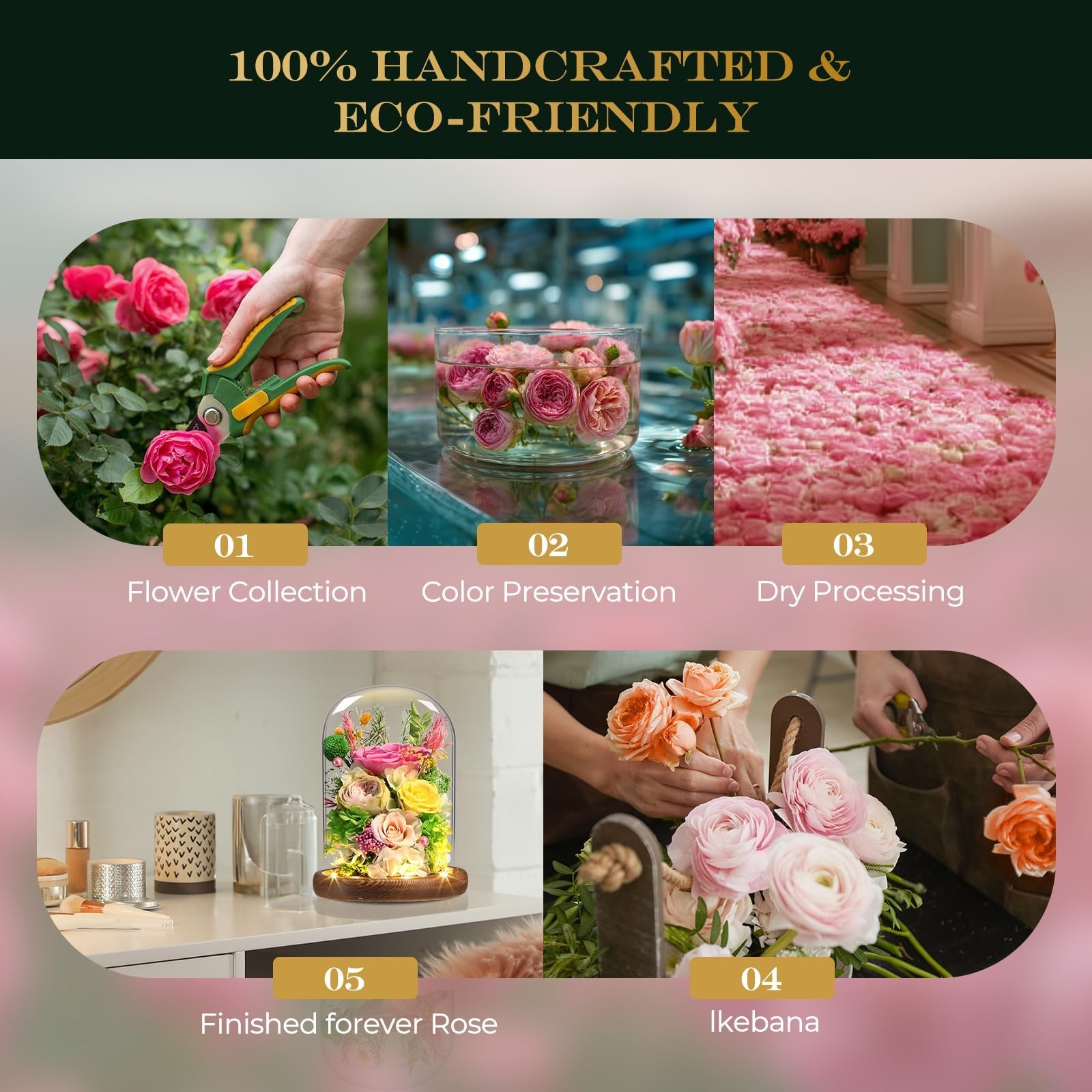 Preserved Yellow & Pink Roses in Glass Dome with LED Light – Lasting Gifts for W