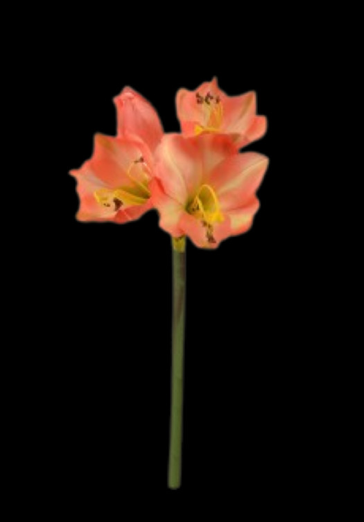 PINK TONE Artificial amaryllis stem