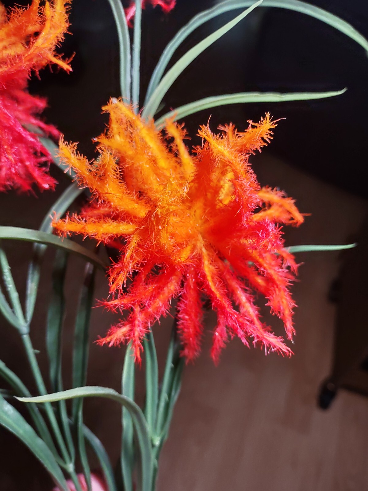Wildflower tropical floral stem. Hawaiian Flowers. Tropical Flowers