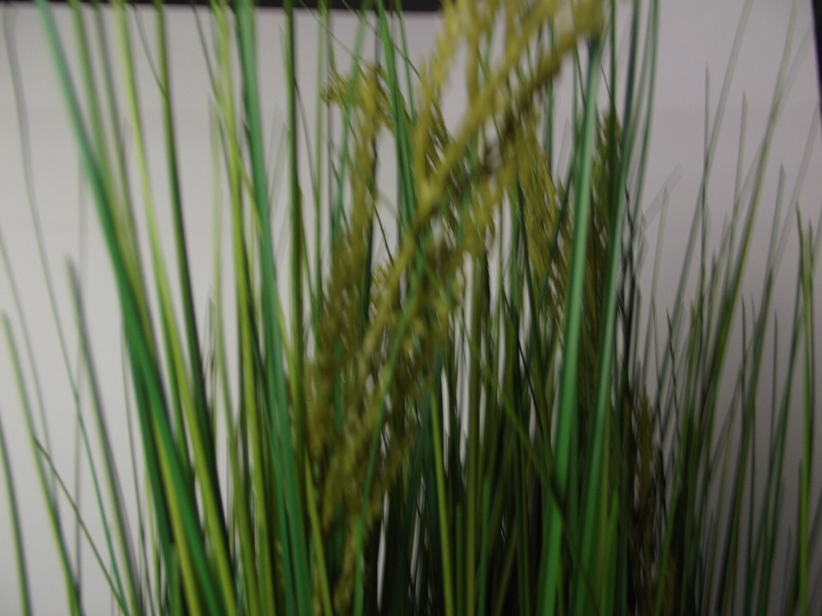 Disneyland Tiki Room Ornamental Grass Artificial Silk Fake Flowers Props