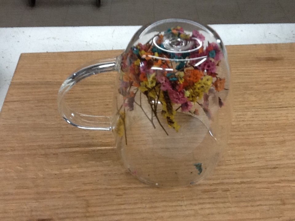 Dried Flowers Glass Mug Double Wall Coffee Tea Cup Botanical Floral Fun Gift