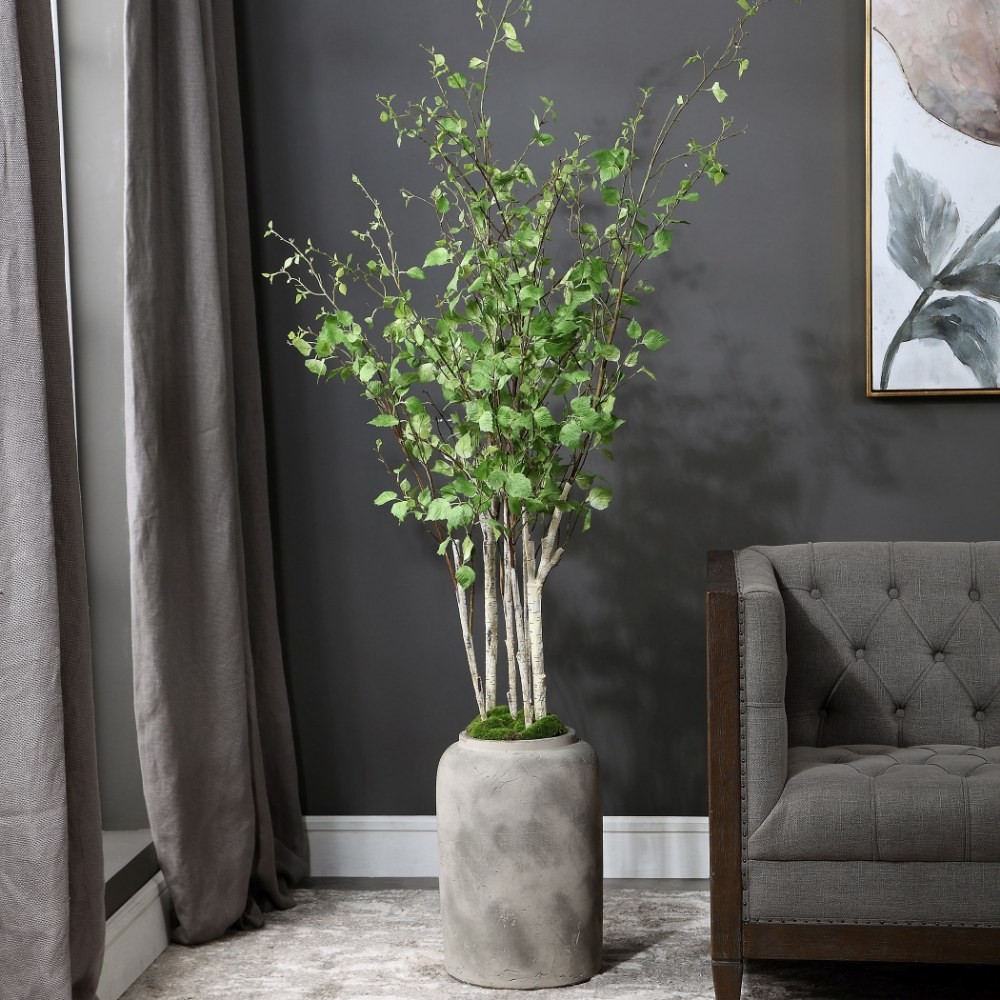 Moorlands Furlong – 77.5 inch Potted River Birch Stem – Decor – Planters –