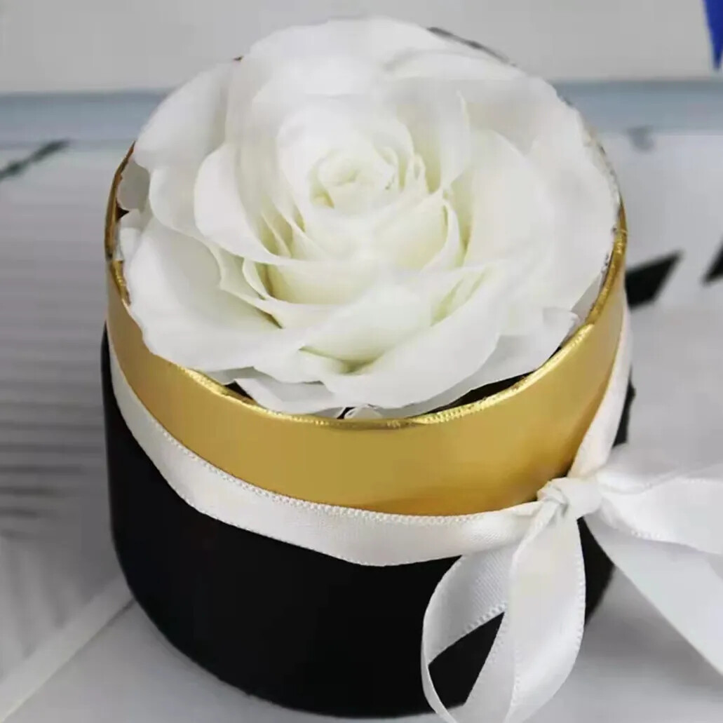 Preserved Rose Box – Everlasting Fresh Flower Gift