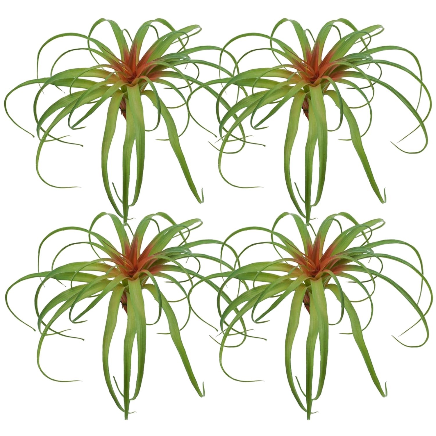 Realistic Flocked Tillandsia Plants – Set of 4