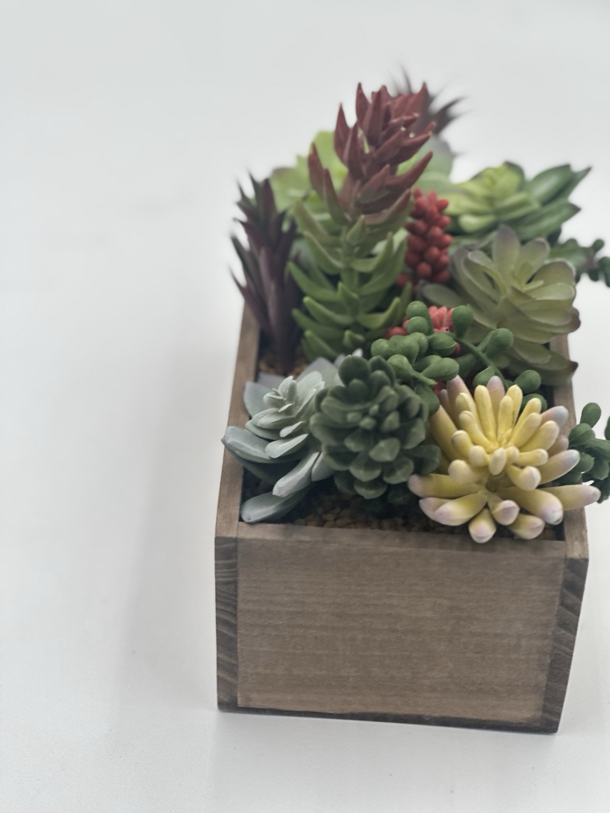 Better Homes & G 8.0 X 4 In Artificial Mixed Succulent Plants in Brown Wood Box
