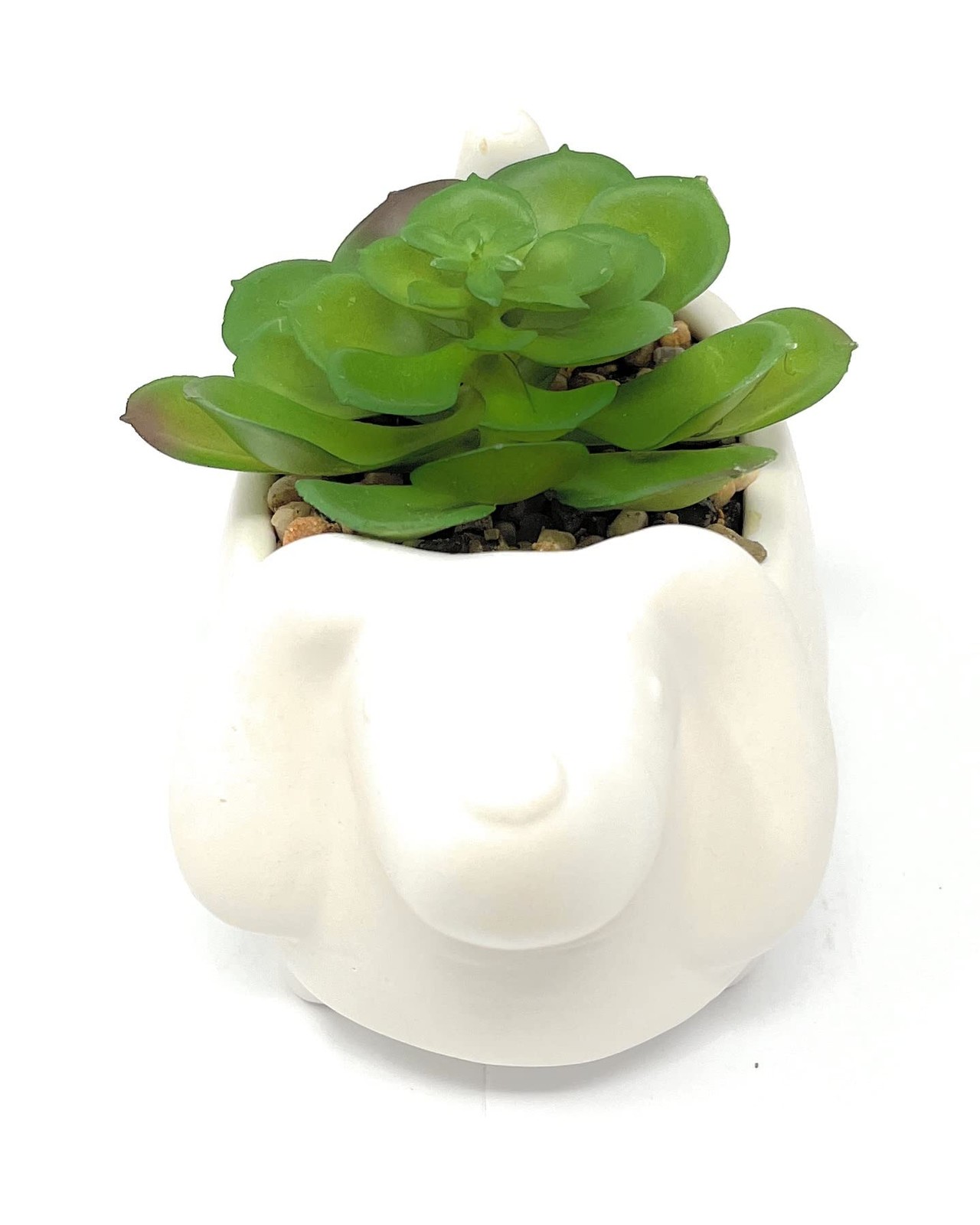 4.3″ H Succulent in Dog White Ceramic Planter, Modern and Simple Stylish Desi…