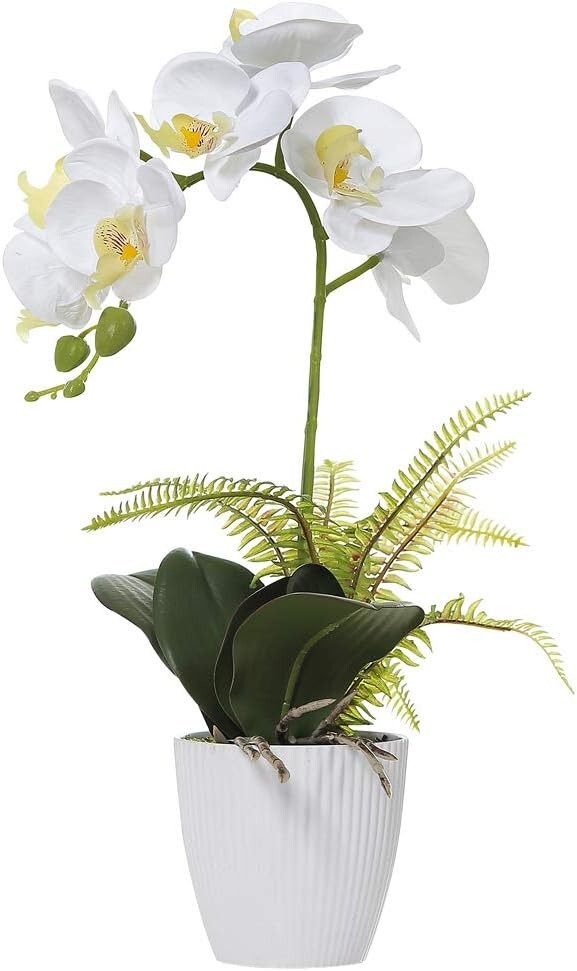Decorative 16-Inch White Orchid – Perfect for Homes & Events – Low Maintenance