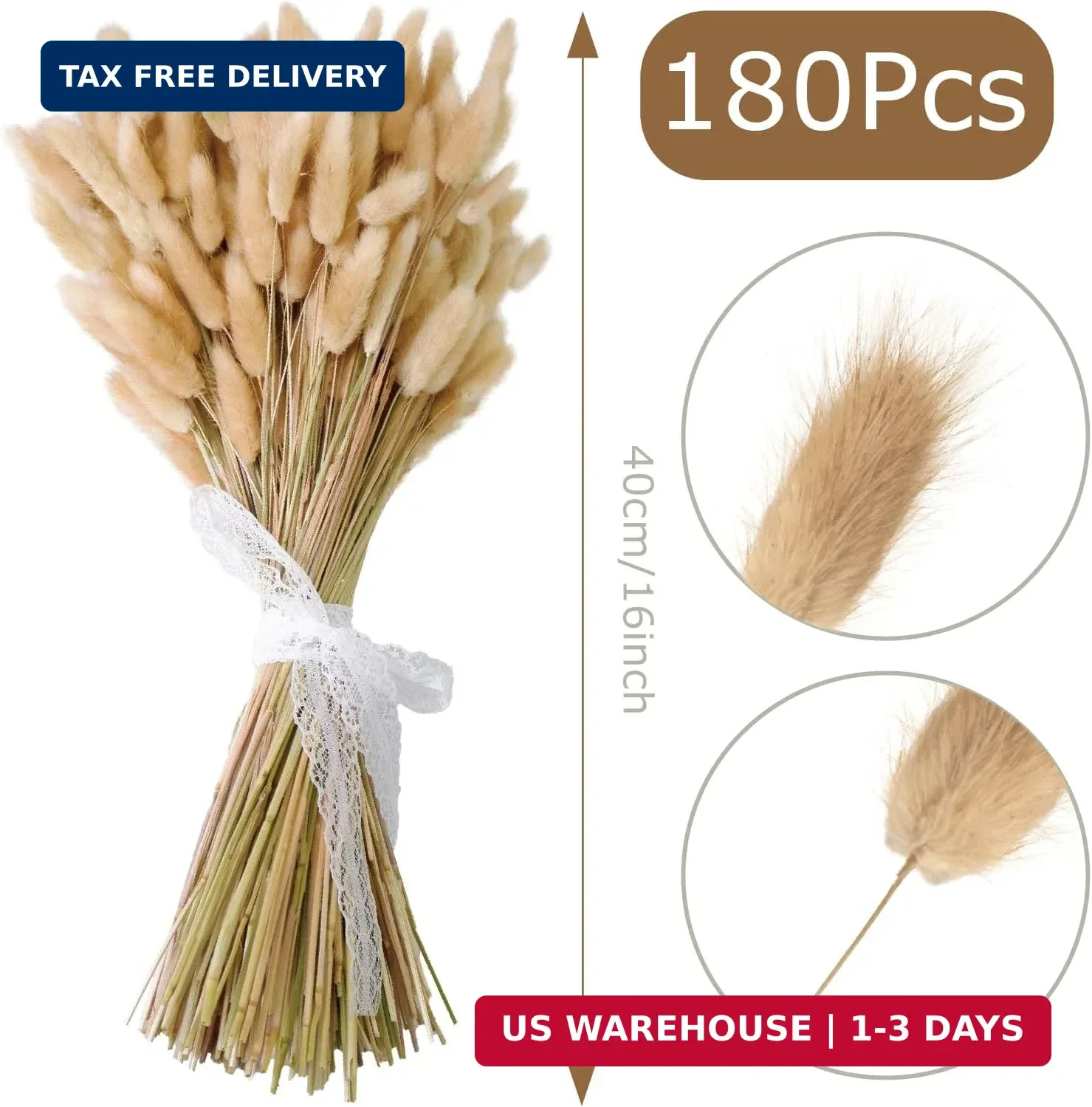 180 PCS Bunny Tails Dried Pampas Grass Decor, 17” Brown Pampas Grass, Natural R