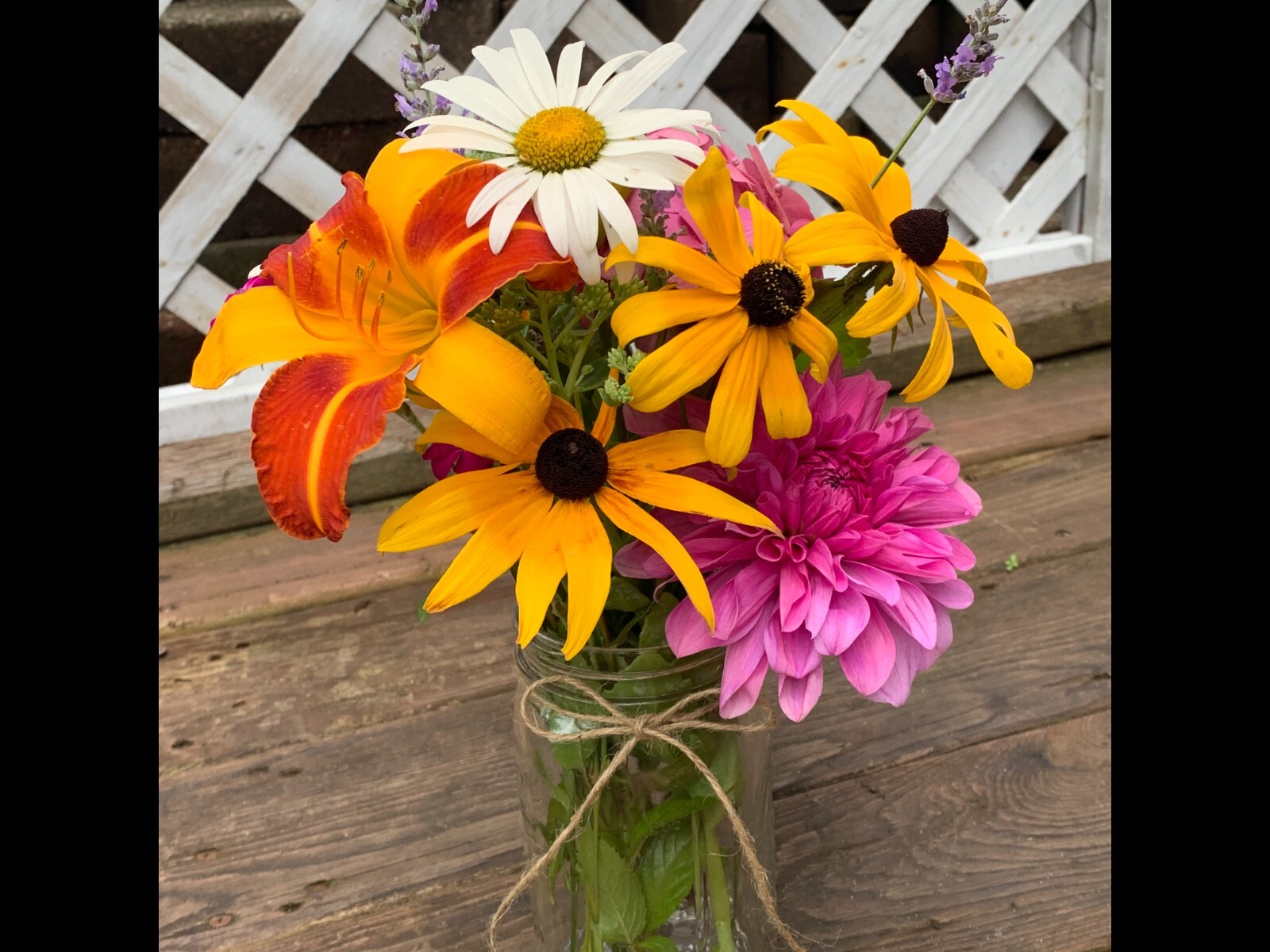 Fresh Cut Variety Flowers – Garden of Eden Flower Company