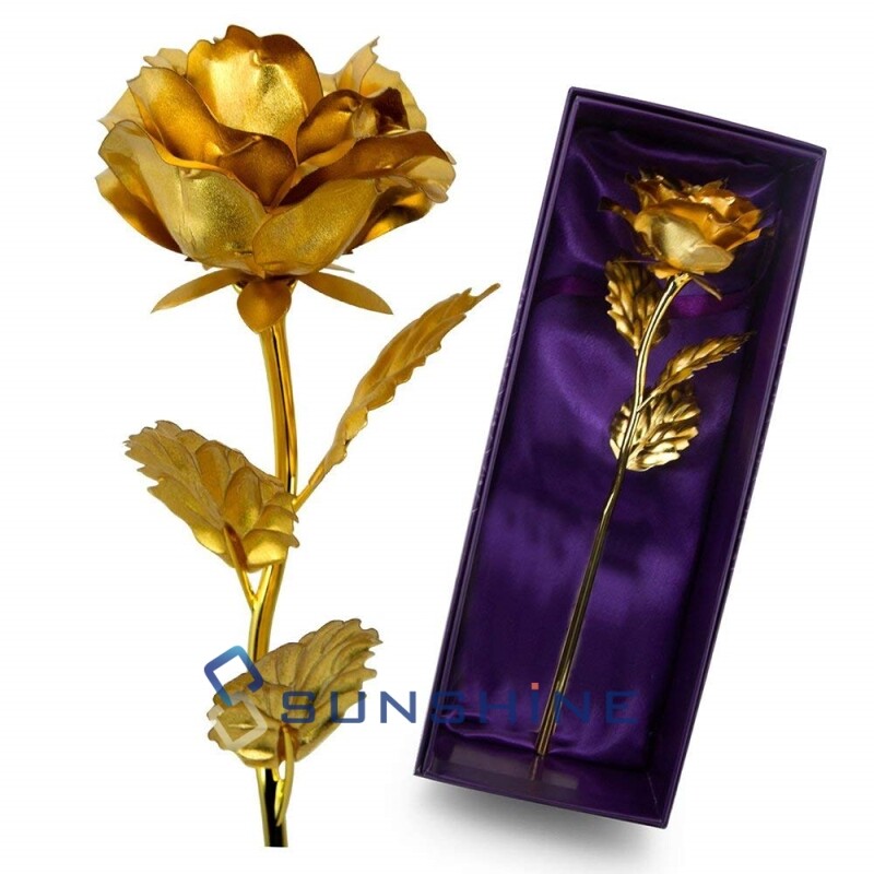 Romantic Eternal Rose Flower In Dome Glass LED Night Light Anniversaries Xmas