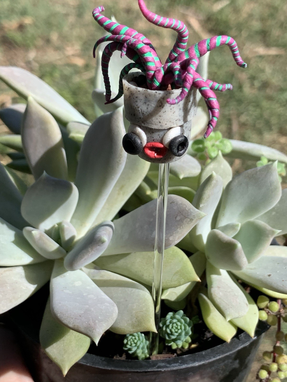 Handmade One Of A Kind Polymer Clay Plant Stick “Pothead” Plant Deco
