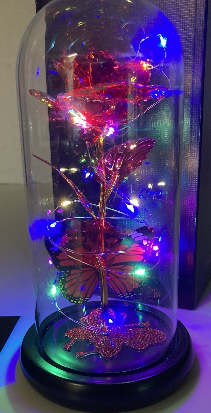 Lighted Flower & Butterfly Display Best Gift For You LED Glass Dome Red Rose New