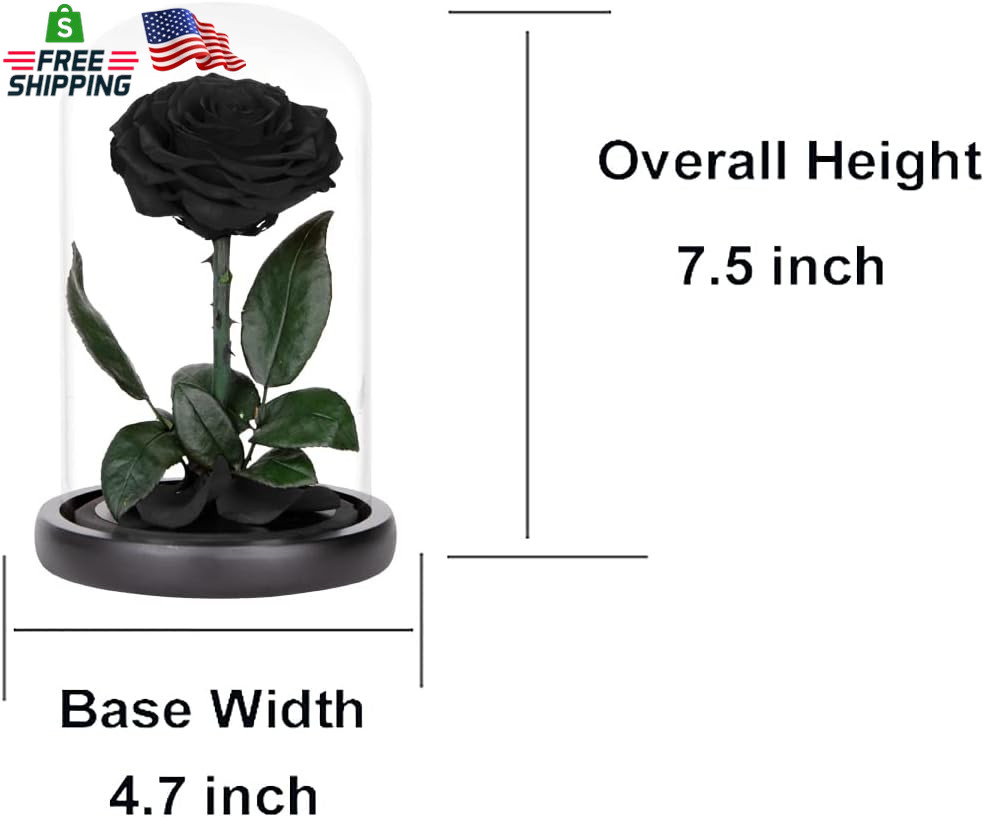 Preserved Roses Black Roses in Glass Dome, Medium, Preserved Flowers for Women
