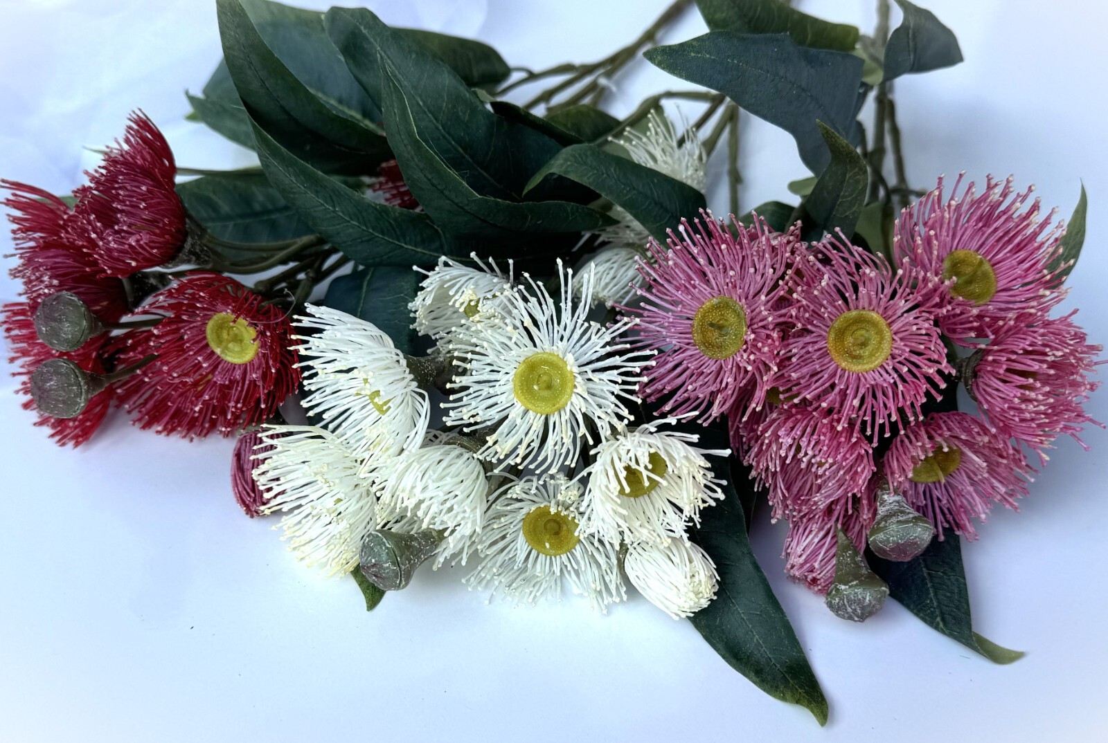 Australian Native Flower Gum Blossoms Stem Eucalyptus Pink Cream Red Blossoms x1