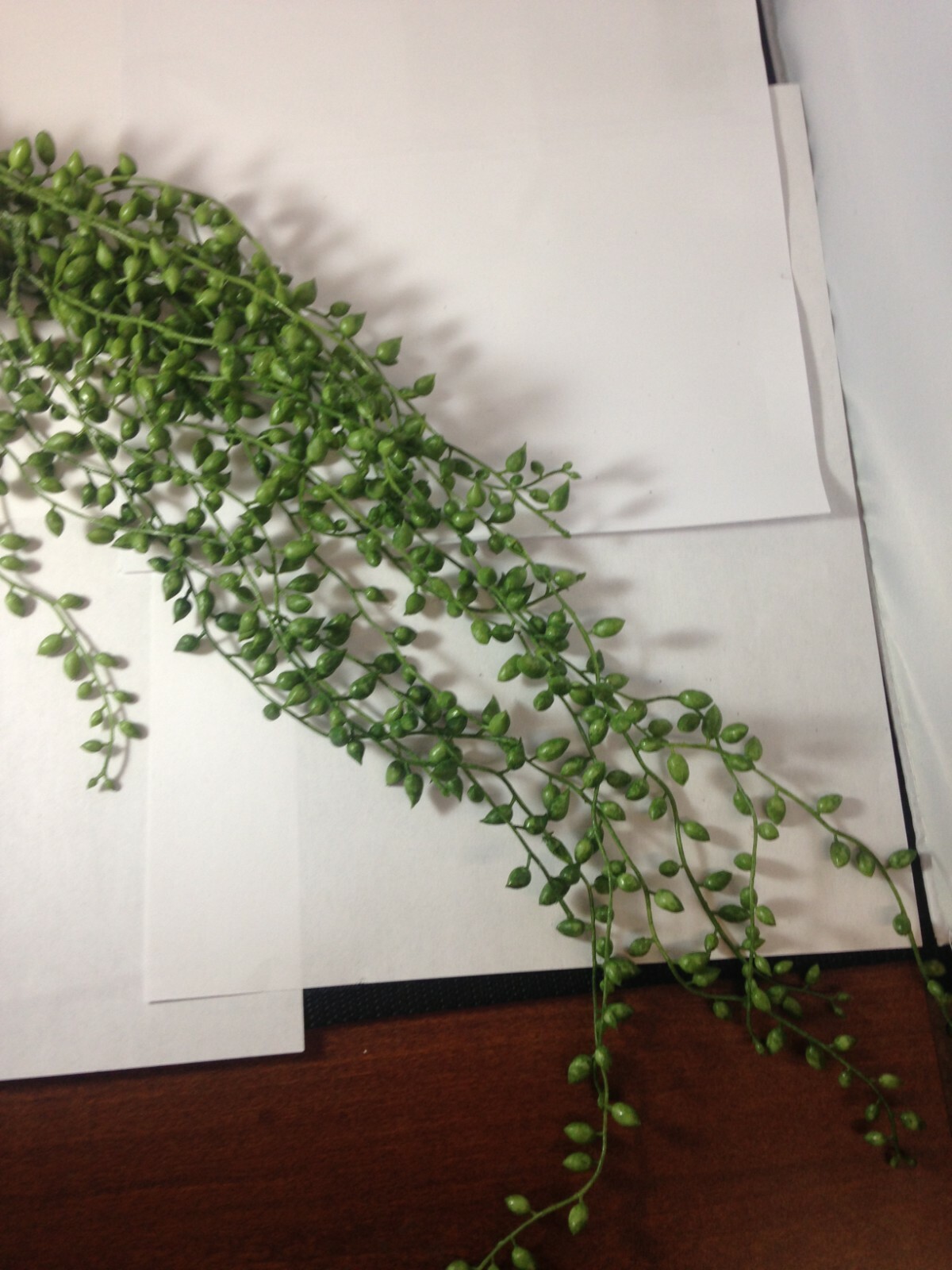 Sullivans Artificial String Of Pearls Vine Plant 17″H Green
