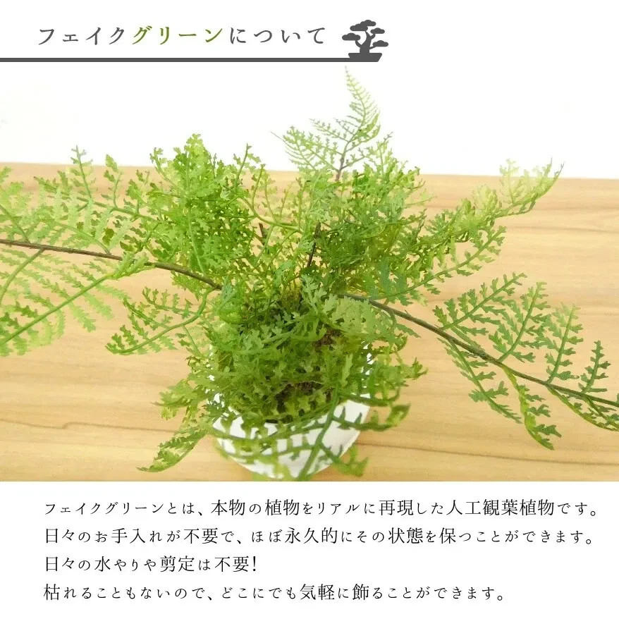 Cup Bonsai Set Momiji & Fern Faux Plant 2pcs Made in Japan Mini Zen Decor