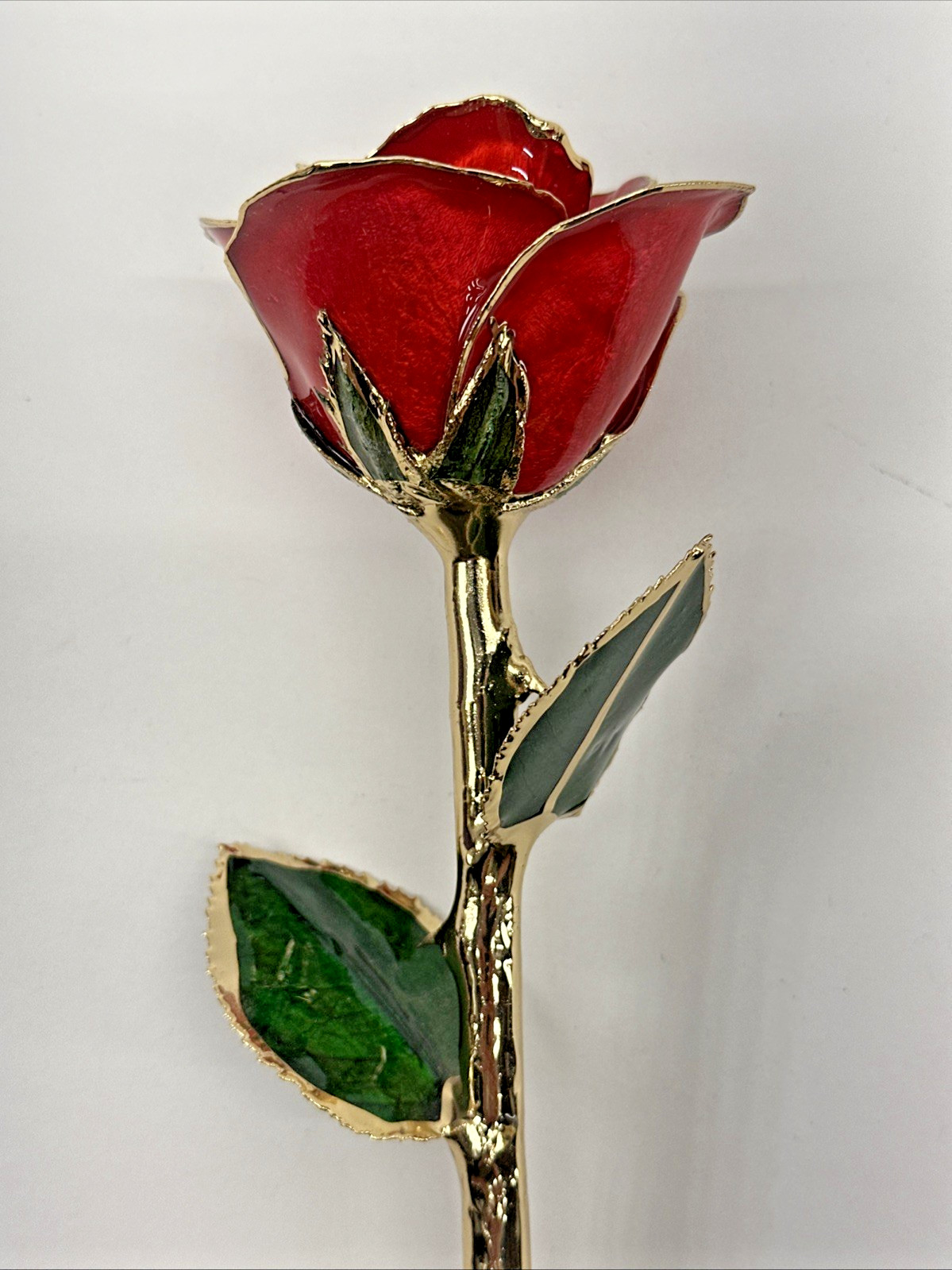 24k Gold Accent Roses Steven Singer Red & Gold & Golden Blooming Rose