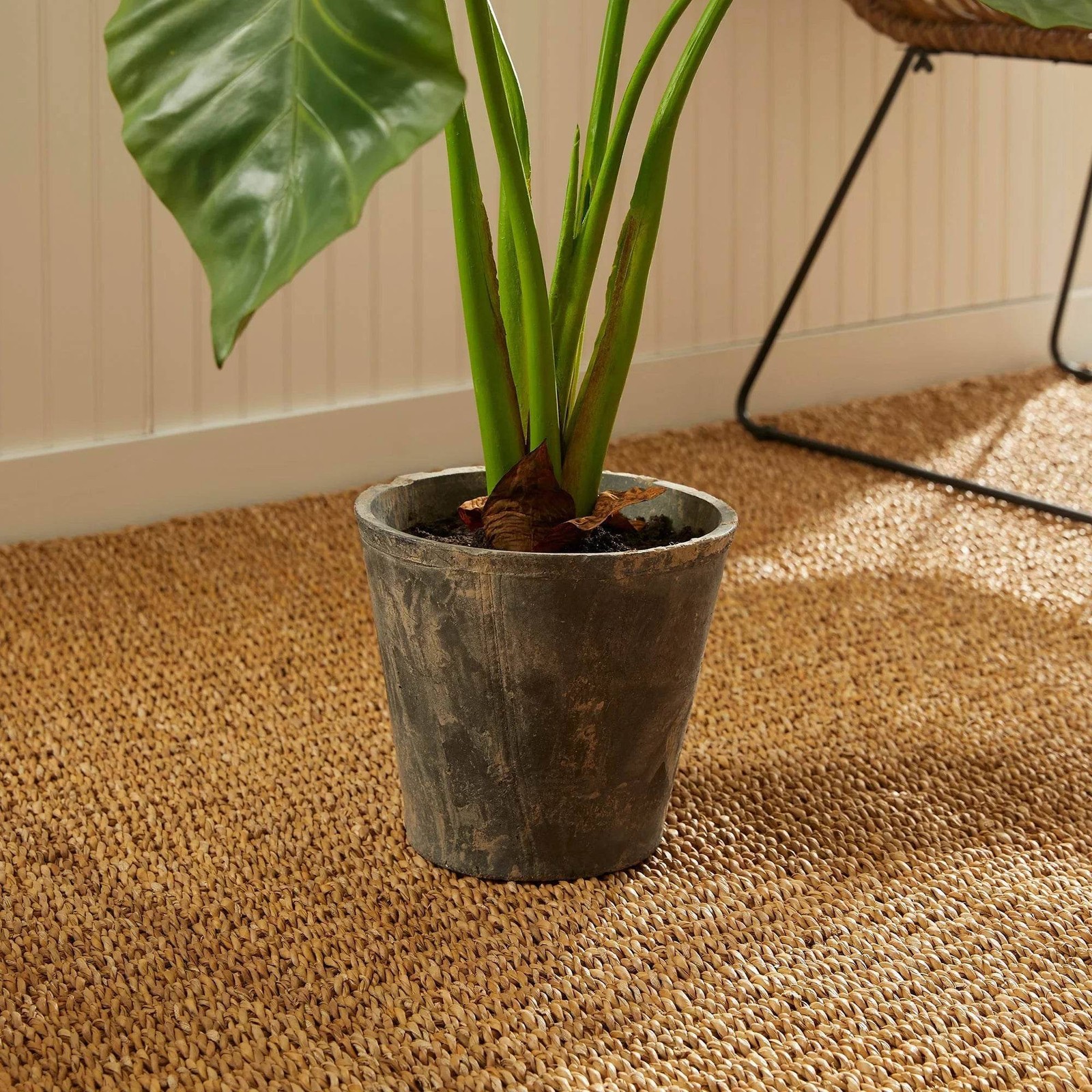 Artificial Elephant Ear Plant – Organic Design, 42″ Tall