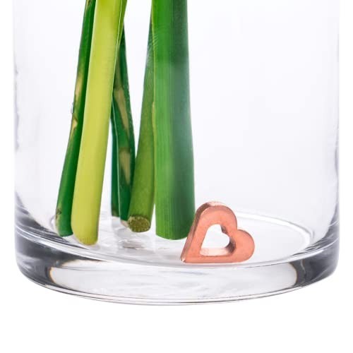 Flower Food Substitute for Fresh Cut Flowers | Keeps Water Clean & Clear | 2 Pac