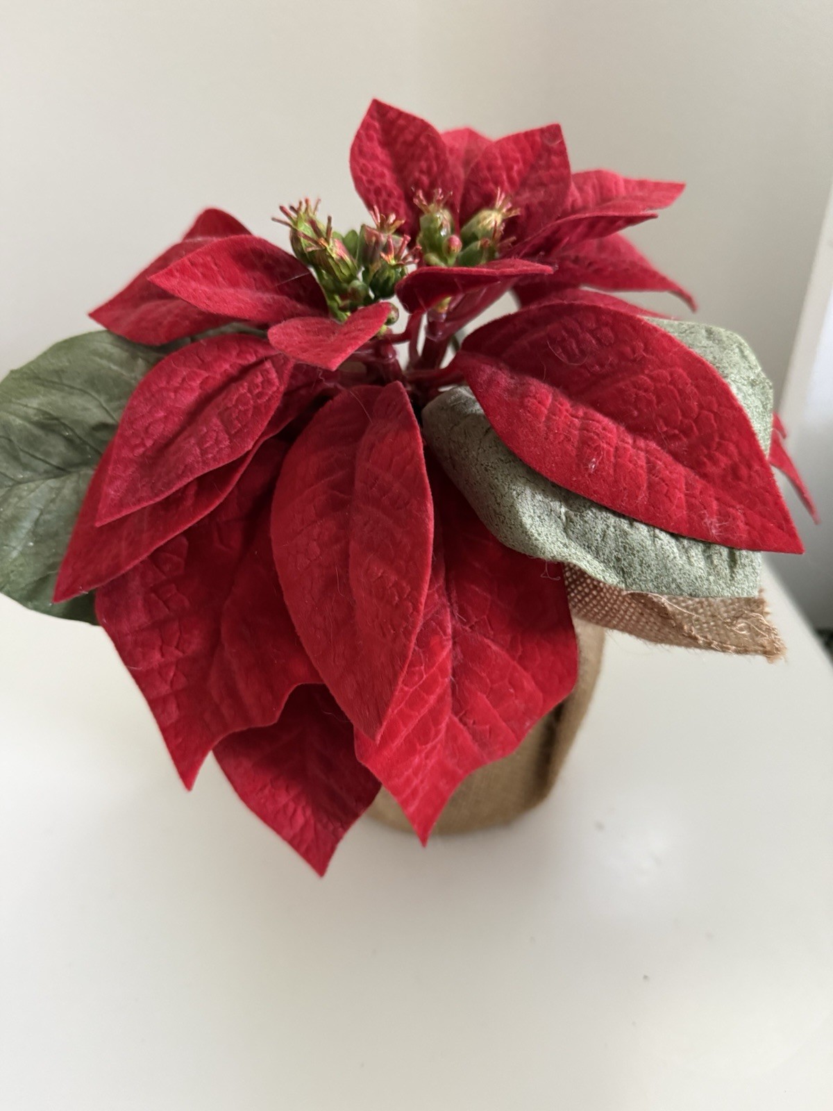 Pottery Barn Faux Burlap Wrapped Poinsettia 8 “ Red Velvet Leaves 4 “ Pot