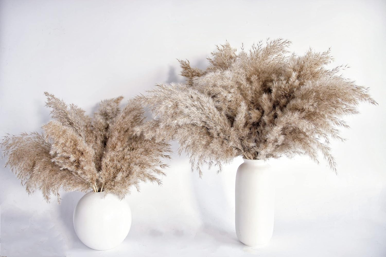 Pampas Grass Decor, Natural Dry Pampas Grass Small, Short Pampass Bulk for Farmh