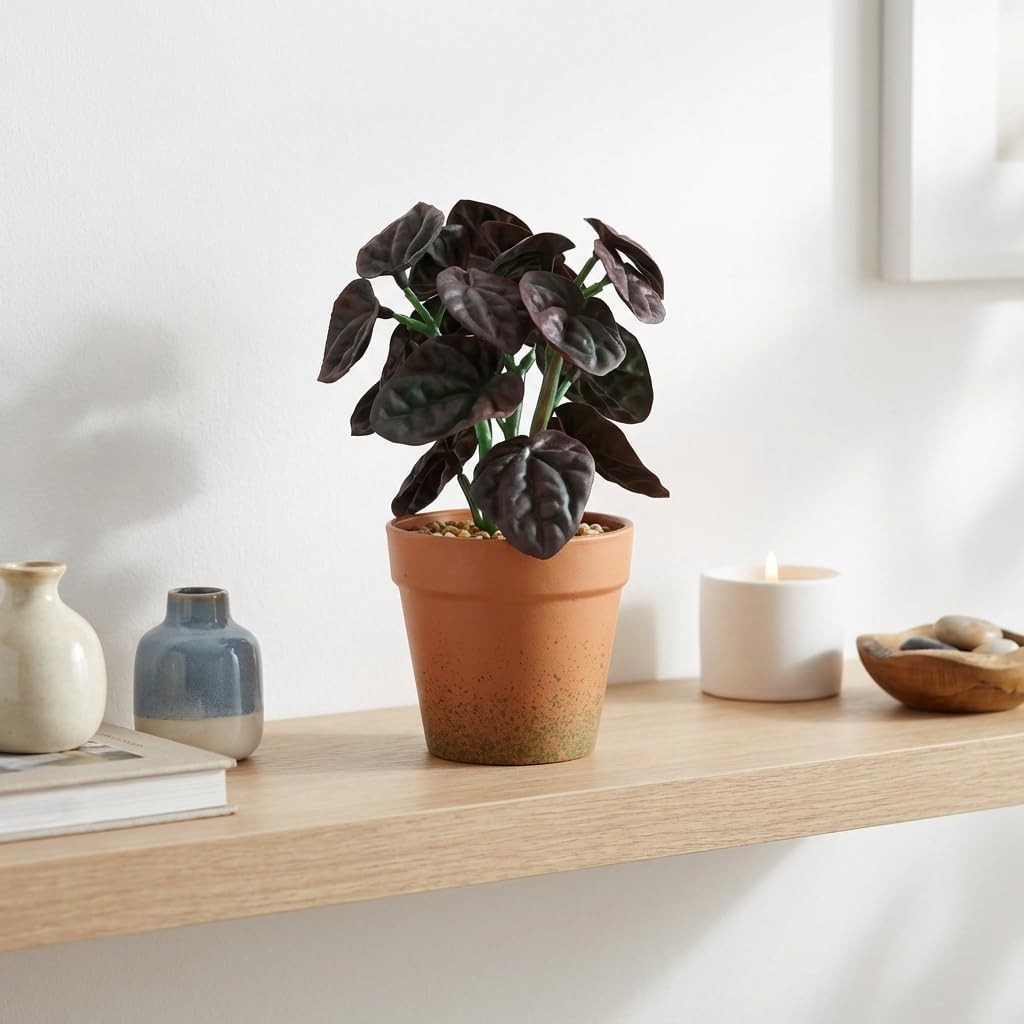 2 Pack 8in Purple Red Artificial Faux Peperomia Potted Plant