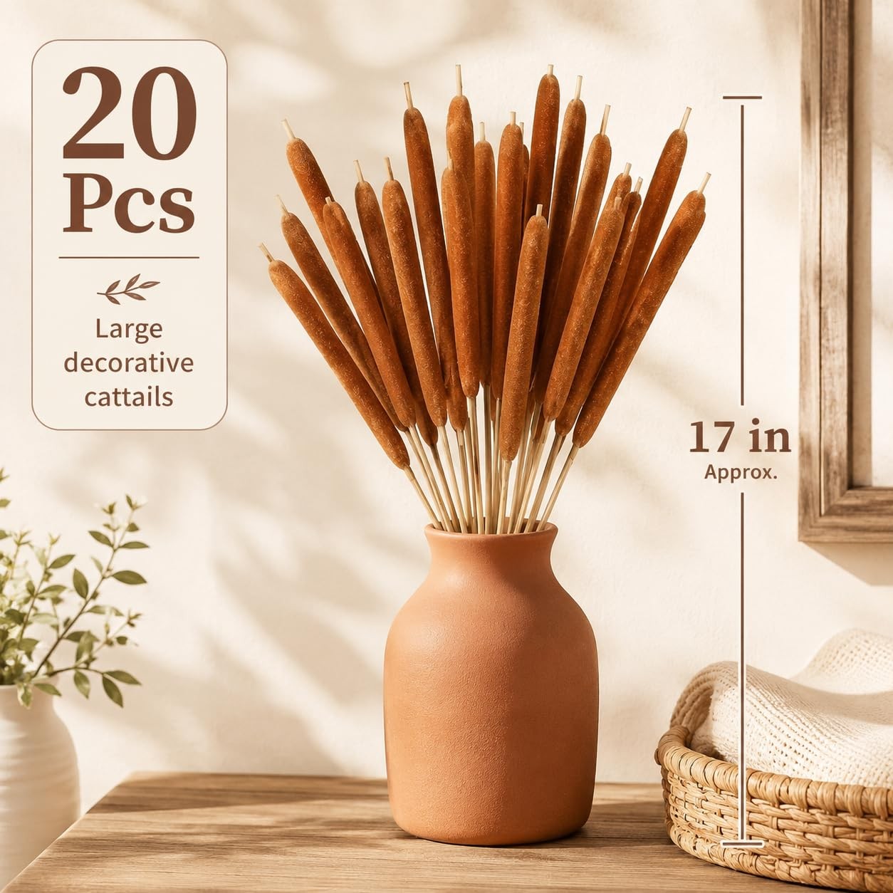 20PCS Dried Natural Cattails Stems 17″ Real Brown Bulrush Reed Grass for Vase…
