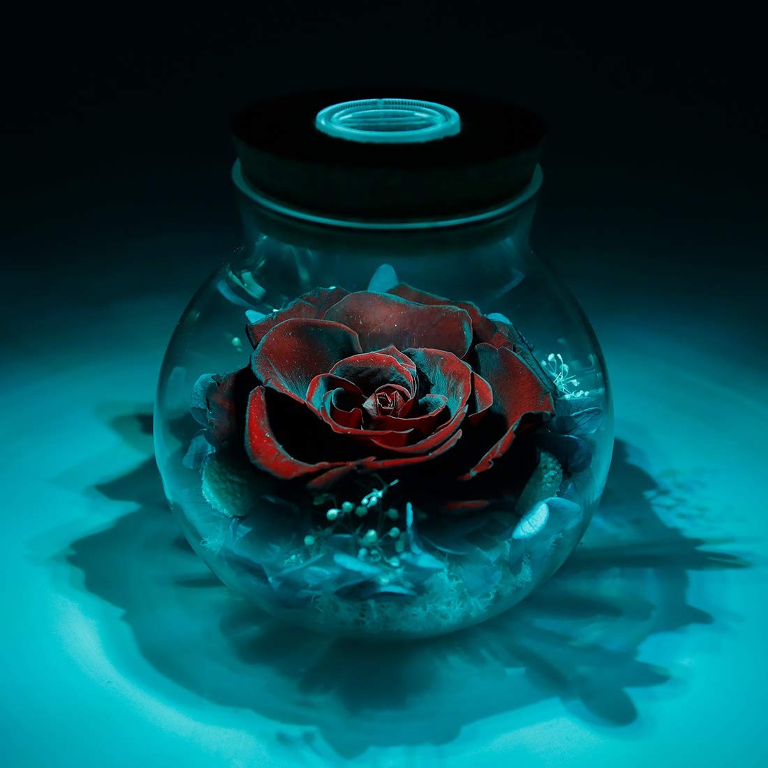 Preserved Real Roses with Colorful Mood Light Wishing Bottle,Eternal Rose，Nev…