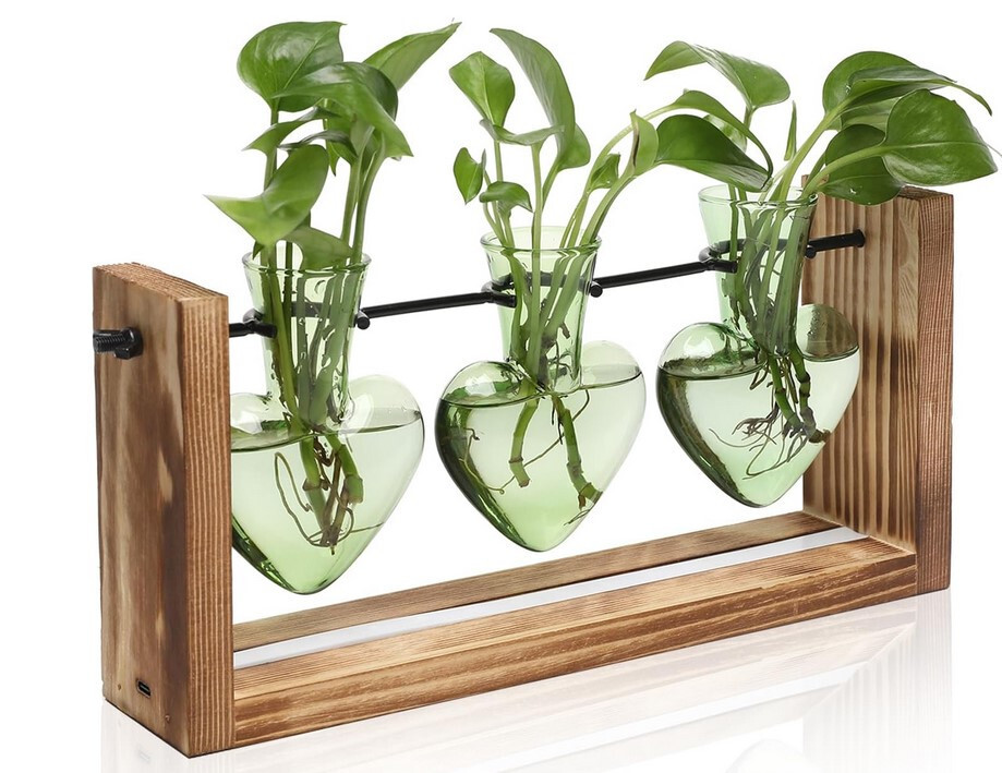 Plant Starter Heart Shaped – Decorative Color Lighted Cuttings