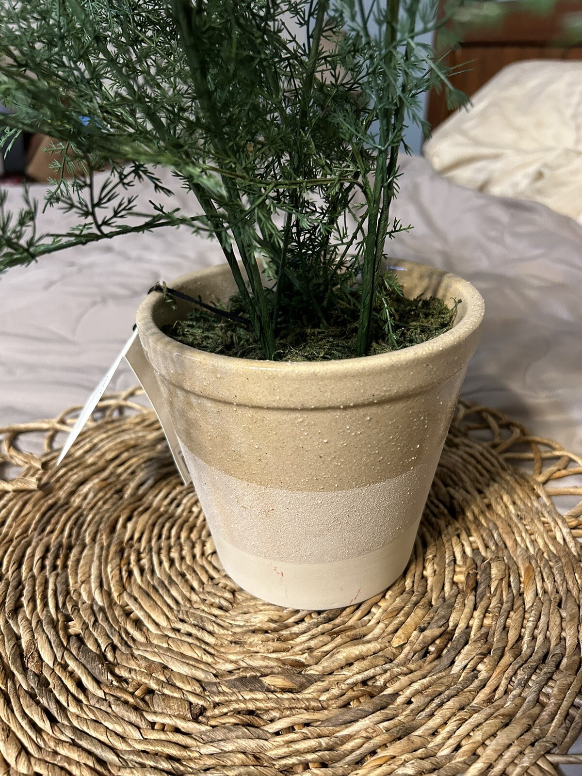 Hearth and Hand with Magnolia Artificial Faux Potted Plants Asparagus Fern
