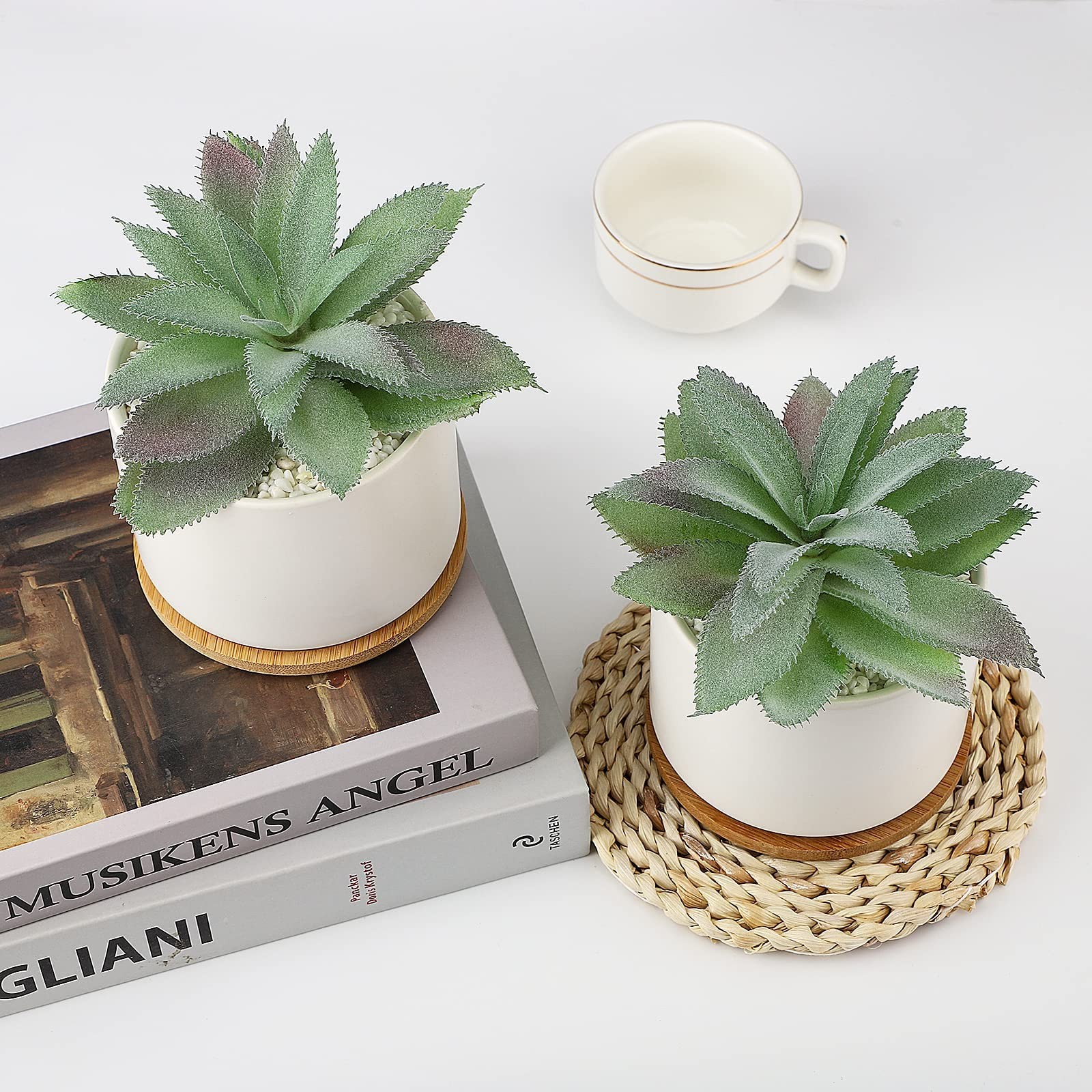 Artificial Succulents Plant, Faux Agave Succulent Plant in Ceramic Pots with …