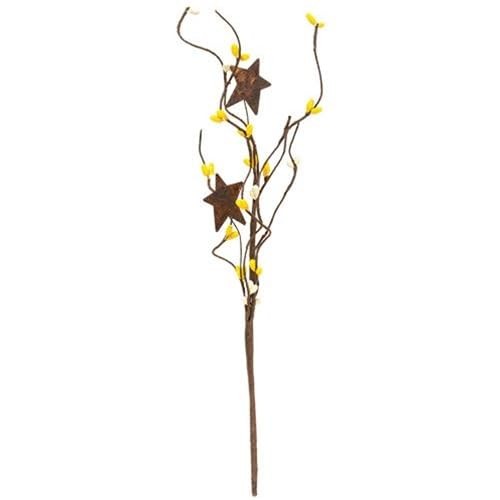HAPPY DEALS ~ Pip Berry Picks with Rusty Stars | 12 inch | 4 PC Set, Yellow a…