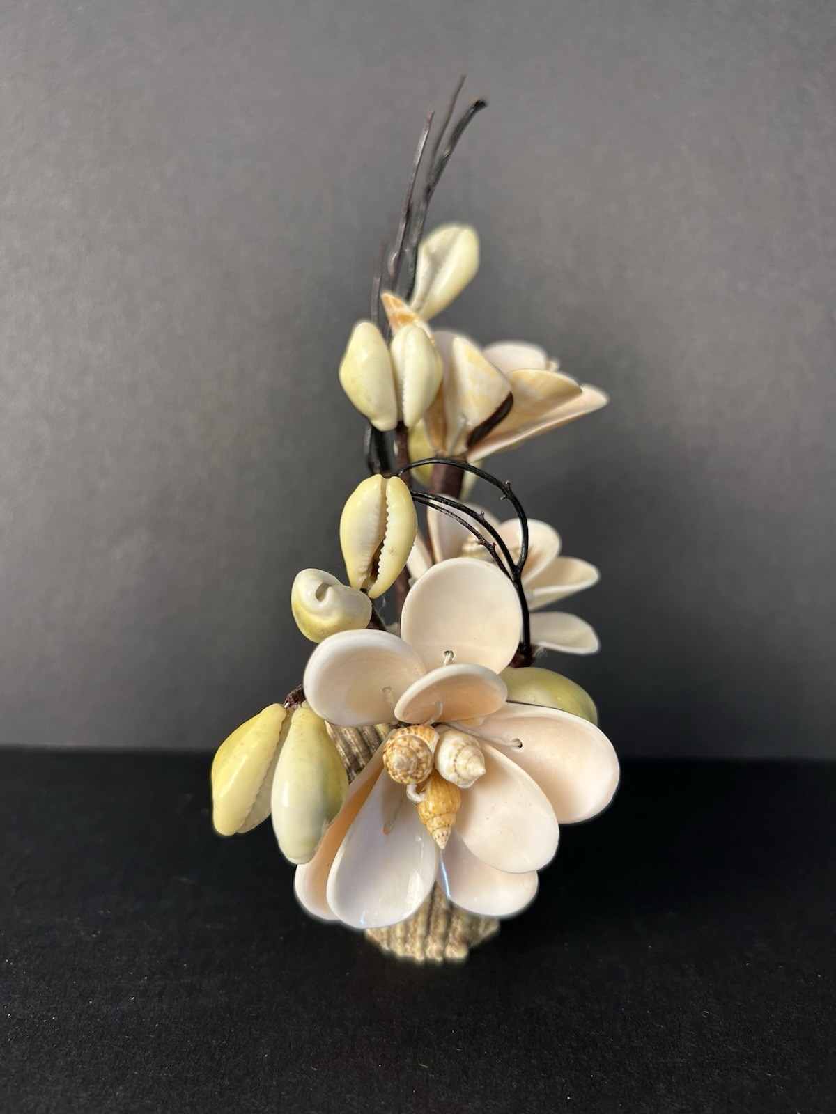 Vintage Cottagecore Kitschy Hand Made Sea Shell Floral Arrangement 6”x4”