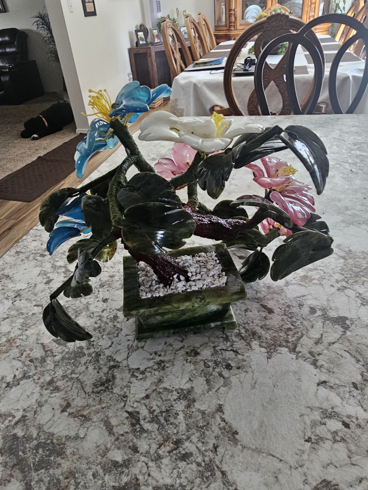 Chinese Colorful Jade Peony Plant