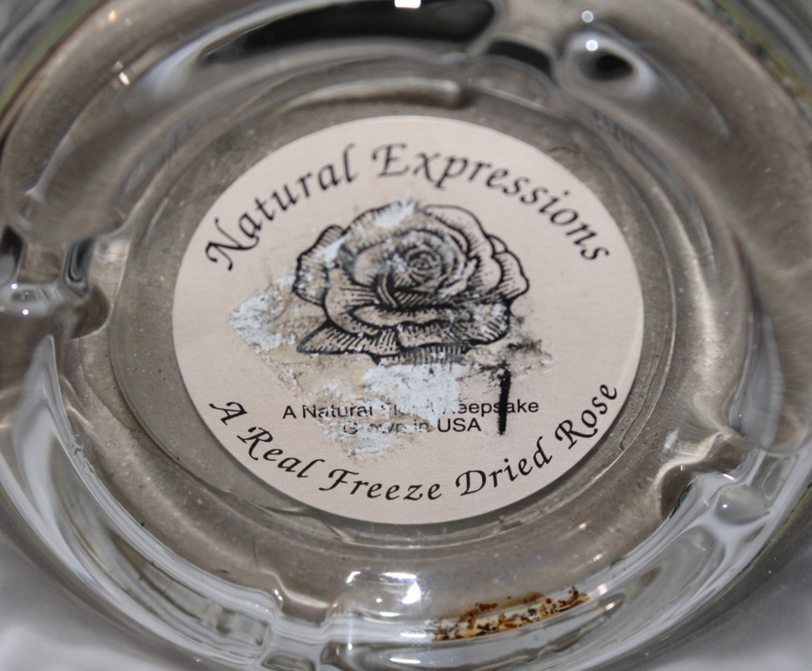 Natural Expressions – Real Freeze-Dried Rose Floral Arrangement in 8″ Glass Dome