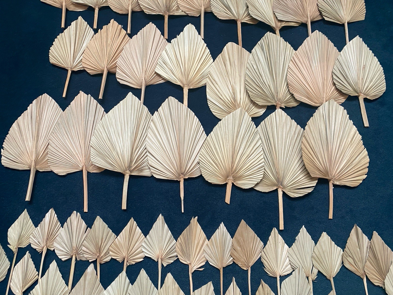 Lot Of 72 Dry Palm Leaves Natural Home Wedding Decor Boho, 42 Large, 30 Small