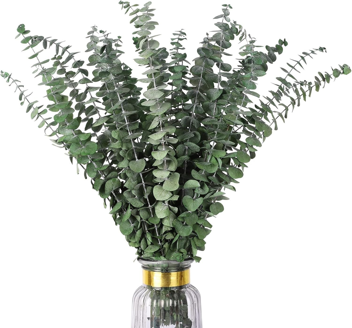 Real Dried Eucalyptus Stems, 20PCS Preserved Eucalyptus Plant 17inch Fresh Eu…