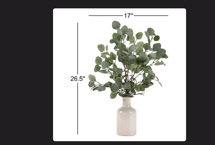 Primrue Eucalyptus In Ceramic Bottle