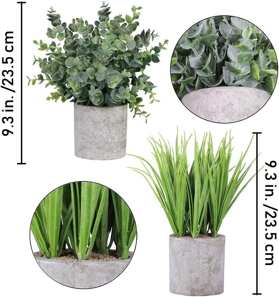 2 Pack Small Potted Eucalyptus Plant Artificial Grass in Pot Assorted Mini Ho…