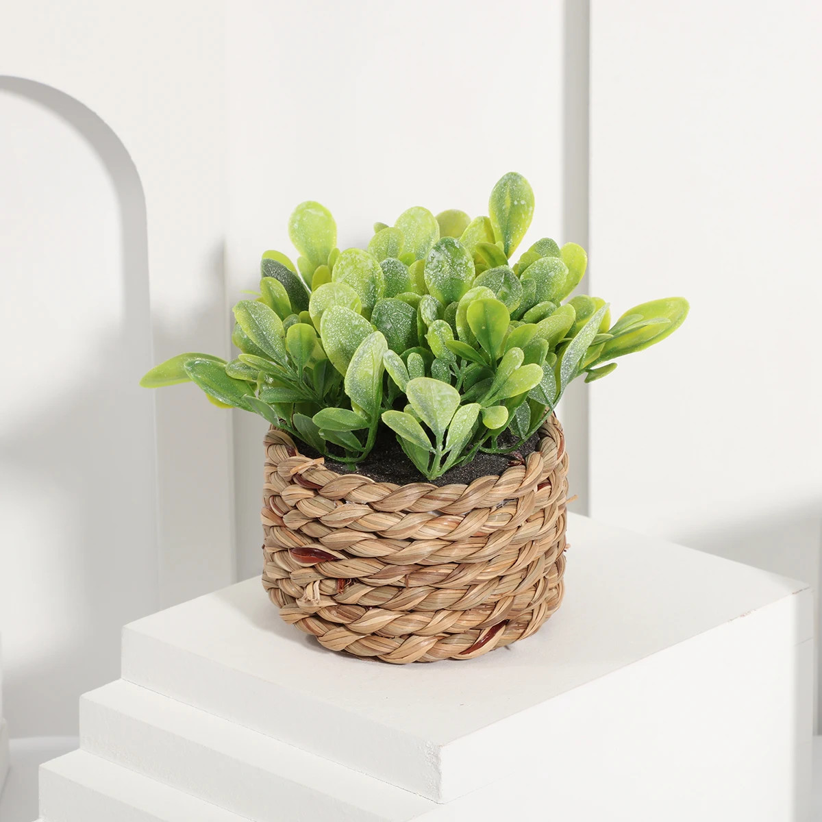 Green Artificial Eucalyptus Grass Woven Small Potted Plants 11cm PE Material Mou
