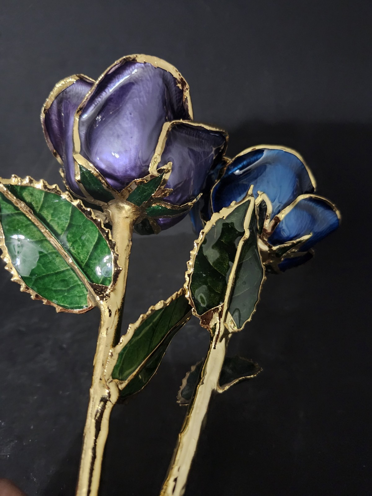 Lacquer Dipped 24k Gold Trimmed Real Preserved Blue And Purple Rose 11″ Set Of 2
