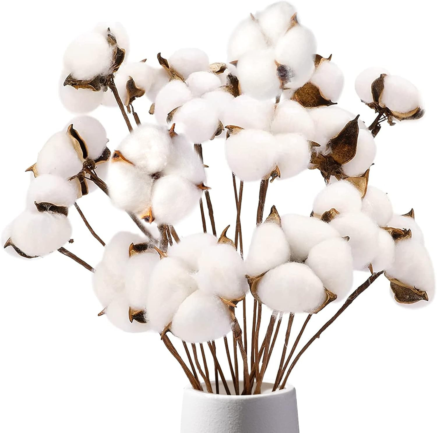 Cotton Stems 8 Packs with 15 Bolls, Natural Dried Flowers Cotton Sprigs for Vase