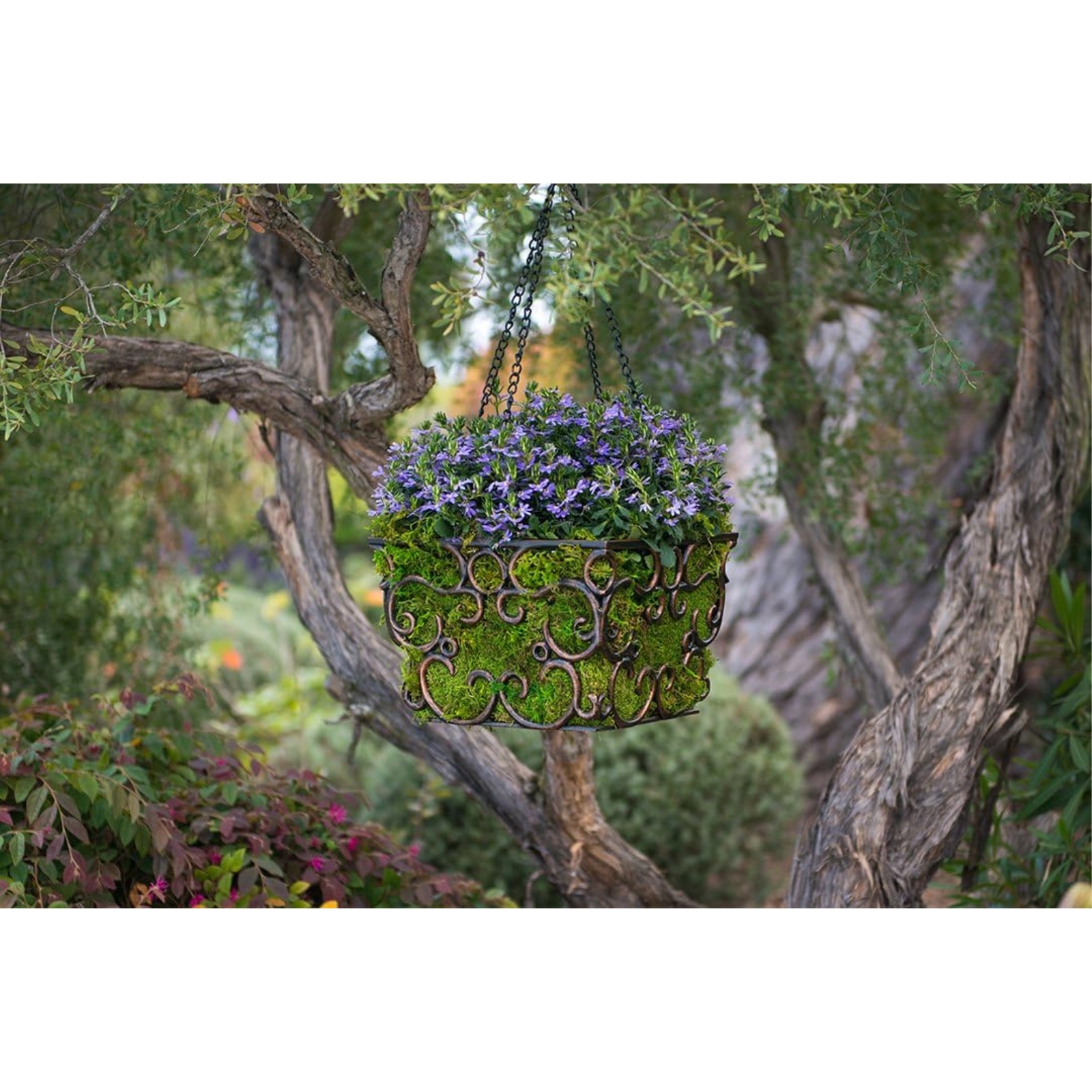 SuperMoss Preserved Sheet Moss, Fresh Green, 1oz