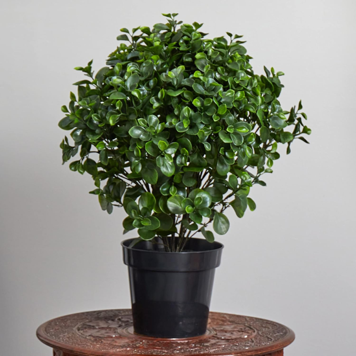 28″ UV Resistant Peperomia Plant for Indoor/Outdoor Decor