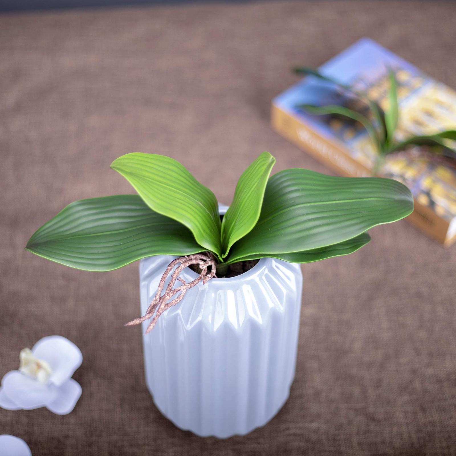 Faux Orchid Leaves Artificial Phalaenopsis Leaf Bulk 10 Inches 2Pcs Real Touch L