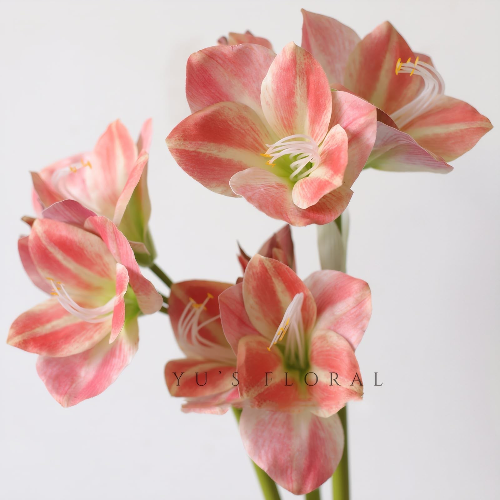 21.5″ Artificial Amaryllis Flowers 3pcs Pink Fake Silk Flowers Faux Belladonn…