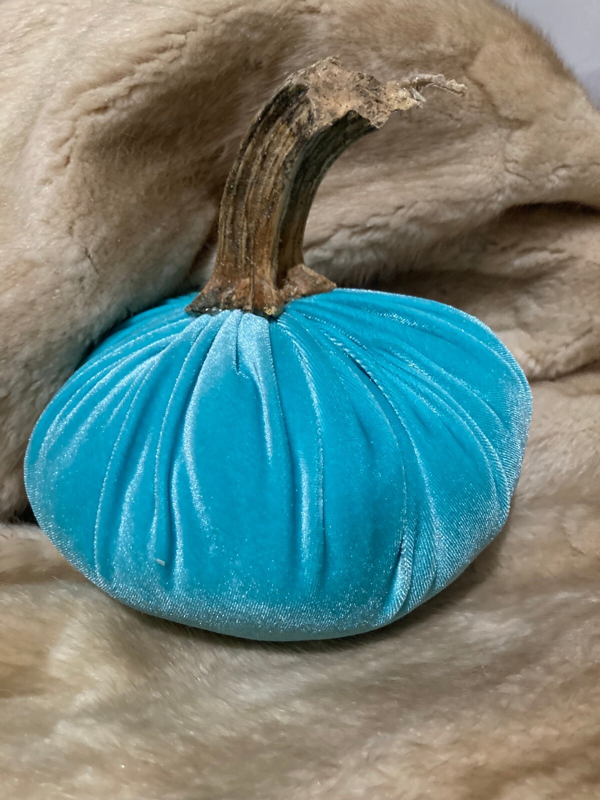 Turquoise Velvet Pumpkins