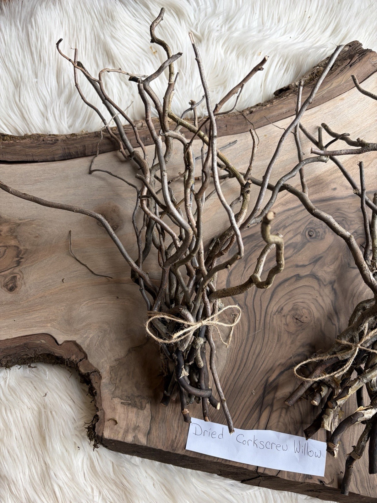 Dried Corkscrew Willow Branches for Home Decor