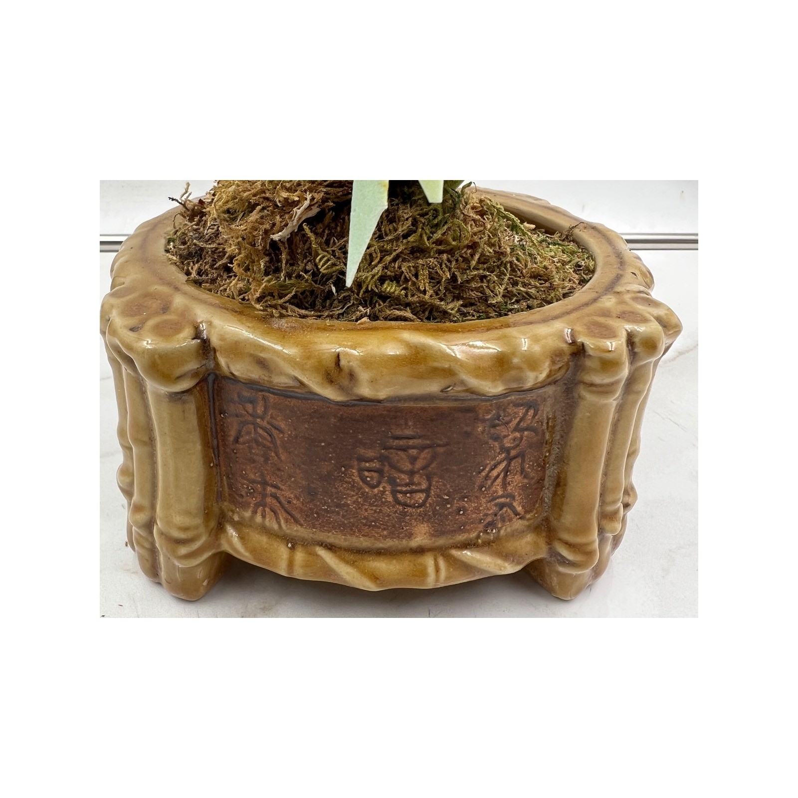 Vintage Faux Orchid Silk Flower Arrangement in Bamboo Style Ceramic Footed Pot
