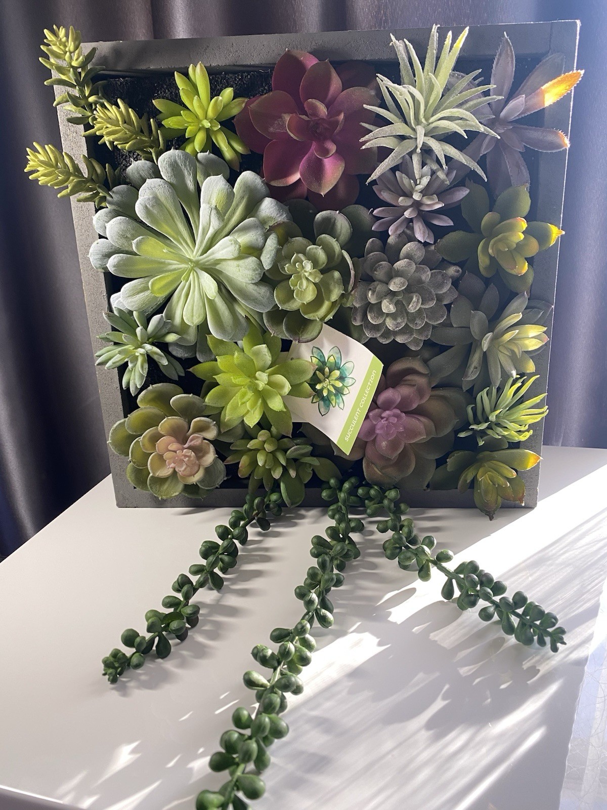 WALL OF FAUX SUCCULENTS in Gray Wood Box Decor Display 12x11x3 inches Art